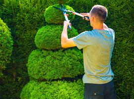 Garden Brick Pathway