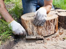 Garden Brick Pathway