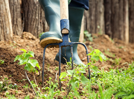 Garden Brick Pathway