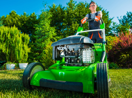Garden Brick Pathway