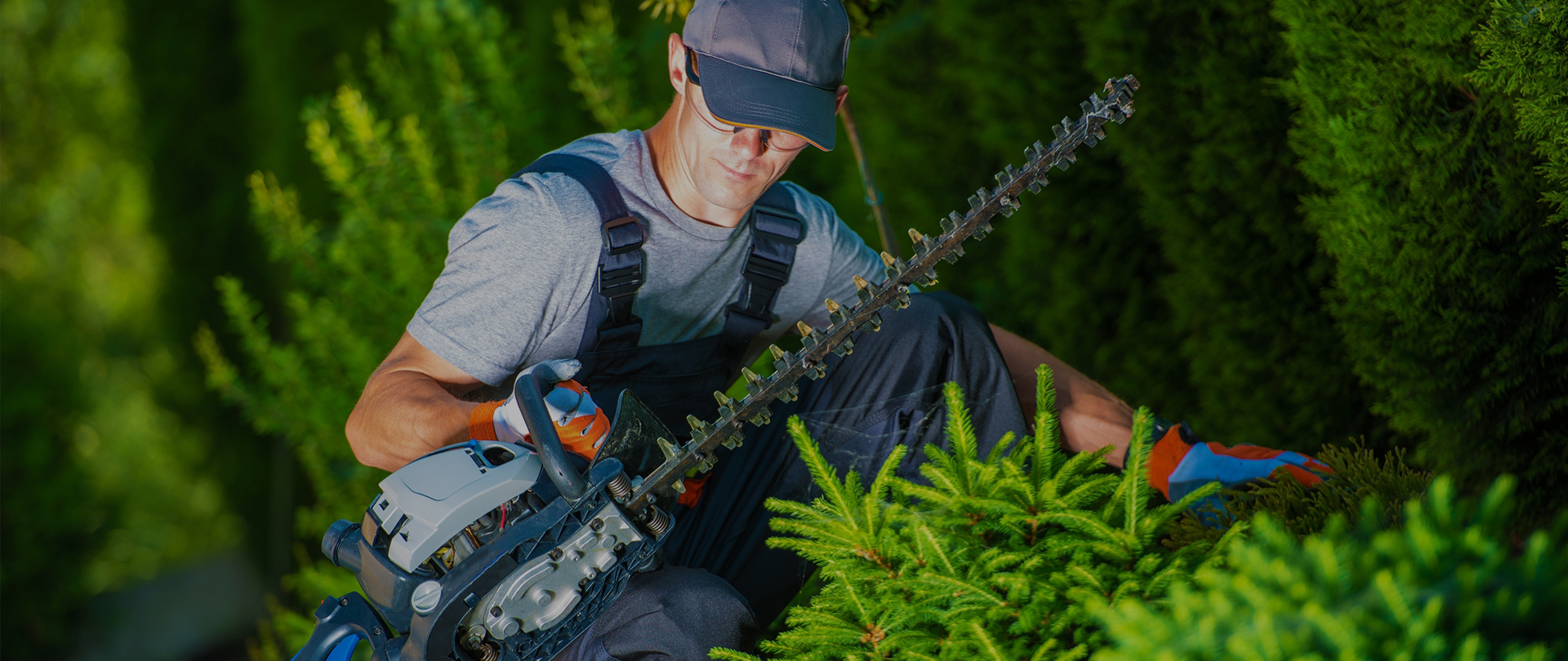 How Landscapie Can Add Curb Appeal to Your Home?