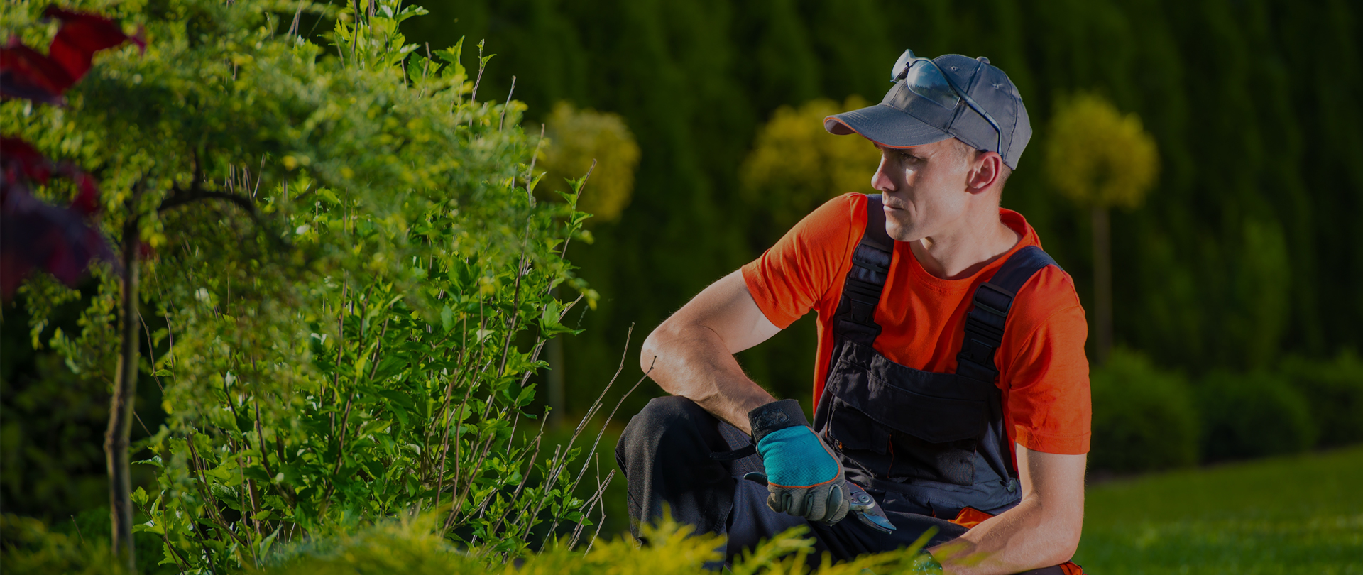 6 Landscaping Methods to Prevent Water Problems